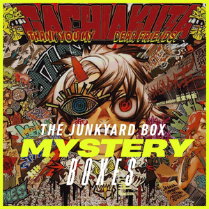 The Junkyard Box - Mystery Boxe